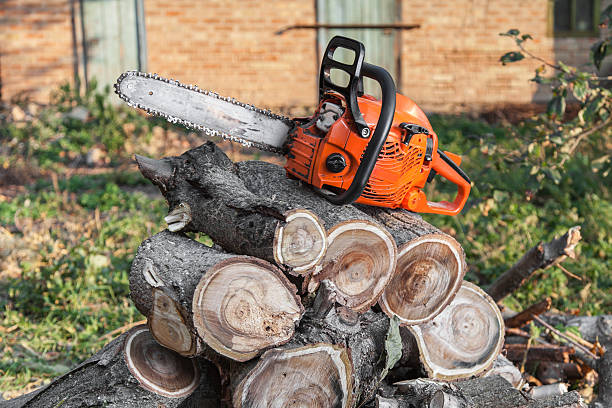 Tree Service Company in Winnsboro, SC